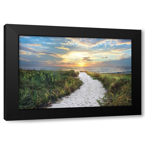 Morning Trail Black Modern Wood Framed Art Print by Celebrate Life Gallery