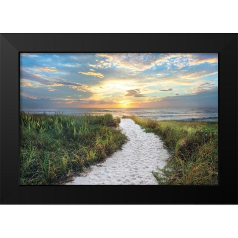 Morning Trail Black Modern Wood Framed Art Print by Celebrate Life Gallery