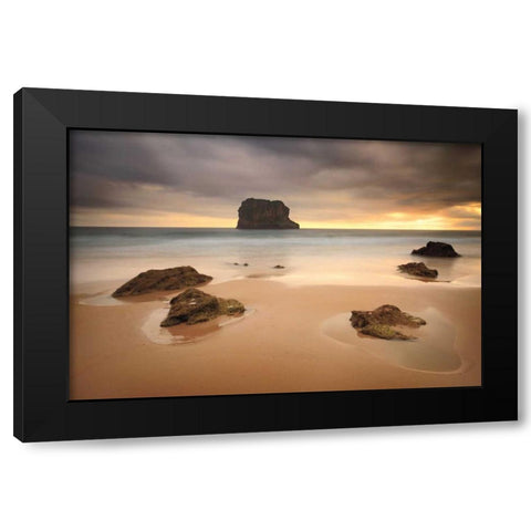 Ballota  Black Modern Wood Framed Art Print by Vera, Urtzi