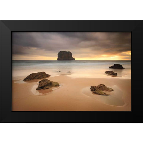 Ballota  Black Modern Wood Framed Art Print by Vera, Urtzi