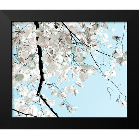 Linden Tree Branches Black Modern Wood Framed Art Print by Duealberi, Antonia and Fabio