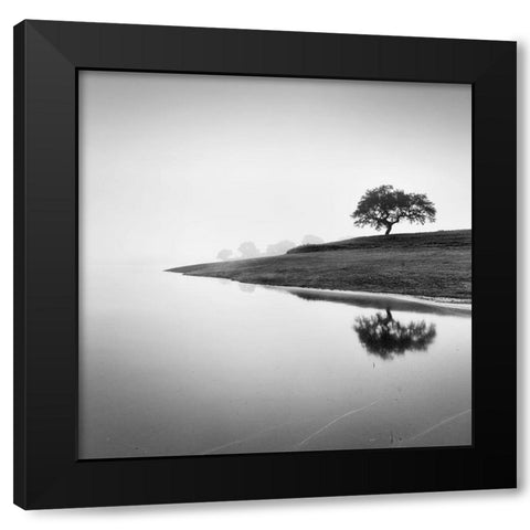 Tree in the Lake Black Modern Wood Framed Art Print by Manuel, Alexandre