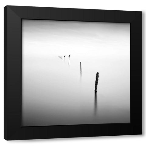 Sticks and Birds I Black Modern Wood Framed Art Print with Double Matting by Praxis Studio