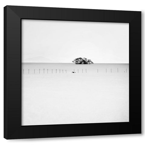Floating Tree Black Modern Wood Framed Art Print with Double Matting by Praxis Studio