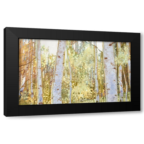 Summer Birch I  Black Modern Wood Framed Art Print by Del Rizzo, Anthony