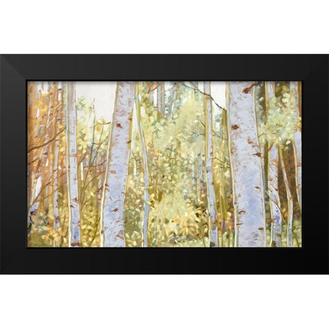 Summer Birch I  Black Modern Wood Framed Art Print by Del Rizzo, Anthony