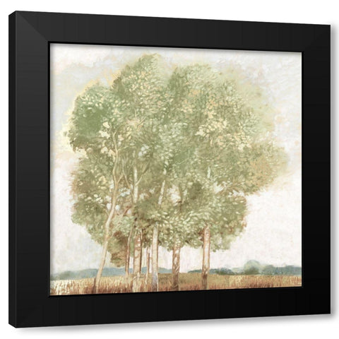 Willowdale Black Modern Wood Framed Art Print with Double Matting by Del Rizzo, Anthony