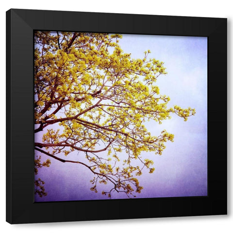 Zen Black Modern Wood Framed Art Print by Arduini, Sandra