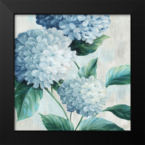 Blue Hydrangea Blooms I Black Modern Wood Framed Art Print by Black, Alex