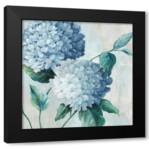Blue Hydrangea Blooms II Black Modern Wood Framed Art Print with Double Matting by Black, Alex