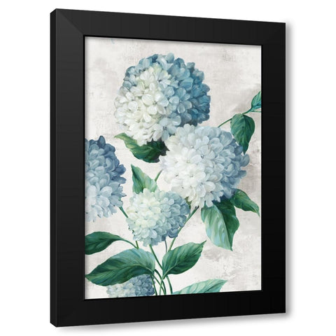 Blue Hydrangea Florals Black Modern Wood Framed Art Print with Double Matting by Black, Alex