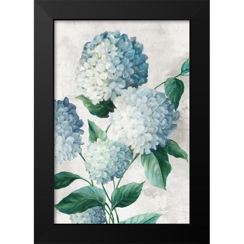 Blue Hydrangea Florals Black Modern Wood Framed Art Print by Black, Alex