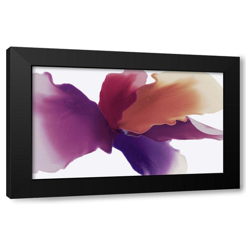 Orangico Black Modern Wood Framed Art Print by Black, Alex