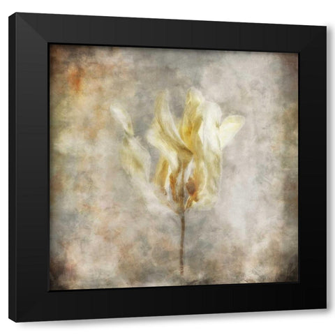 Sepia Bloom I Black Modern Wood Framed Art Print by Bingham, John