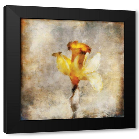 Sepia Bloom III Black Modern Wood Framed Art Print by Bingham, John