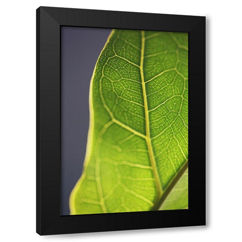 Bright Inside III Black Modern Wood Framed Art Print by Bock, Alicia