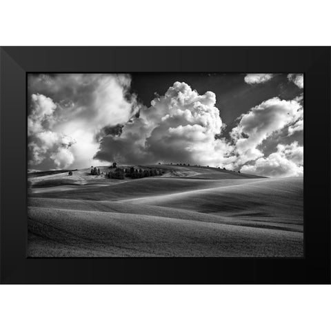 Palouse Bliss Black Modern Wood Framed Art Print by Berk