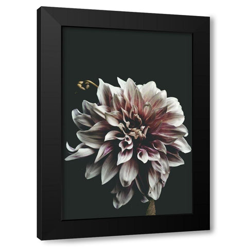 Dazed Black Modern Wood Framed Art Print by Kiss, Beatrice