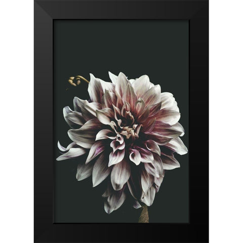 Dazed Black Modern Wood Framed Art Print by Kiss, Beatrice