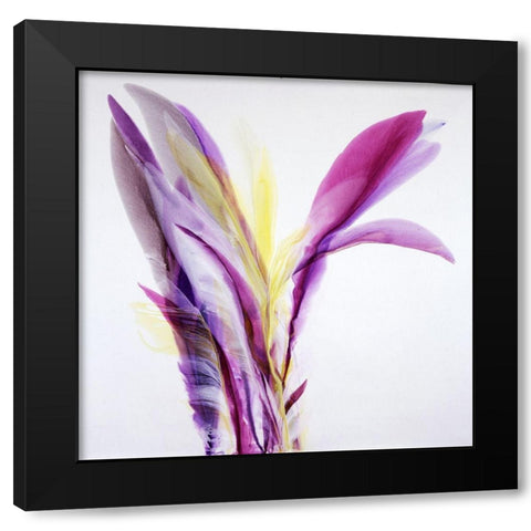 Ecstasy Black Modern Wood Framed Art Print by Ridgeway, Bette