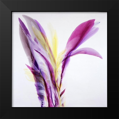 Ecstasy Black Modern Wood Framed Art Print by Ridgeway, Bette