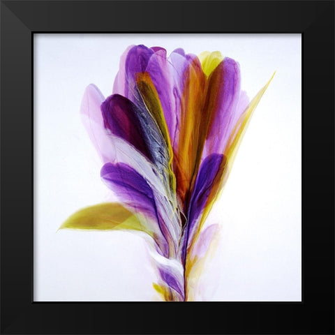 Memories Black Modern Wood Framed Art Print by Ridgeway, Bette