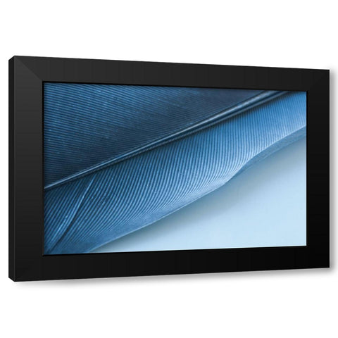 Blue Feather I Black Modern Wood Framed Art Print by Beavers, Jennifer