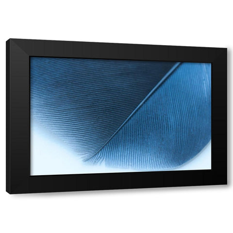 Blue Feather II Black Modern Wood Framed Art Print with Double Matting by Beavers, Jennifer