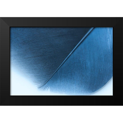 Blue Feather II Black Modern Wood Framed Art Print by Beavers, Jennifer