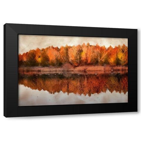 Lang Pix 4  Black Modern Wood Framed Art Print with Double Matting by Clements, Charlotte