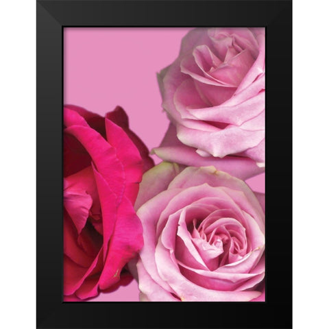 Pink Red Roses Black Modern Wood Framed Art Print by Diskin, Ceil