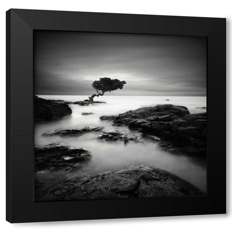Tree of Temptation Black Modern Wood Framed Art Print with Double Matting by Cherry, Rob