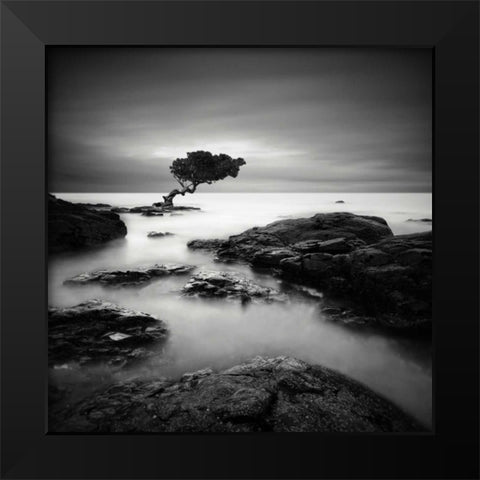 Tree of Temptation Black Modern Wood Framed Art Print by Cherry, Rob