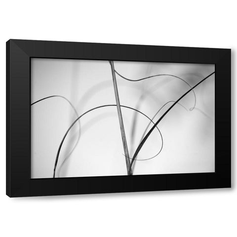 Elegant Vines I  Black Modern Wood Framed Art Print with Double Matting by Connolly, Karin