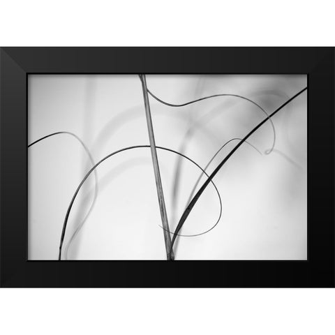 Elegant Vines I  Black Modern Wood Framed Art Print by Connolly, Karin