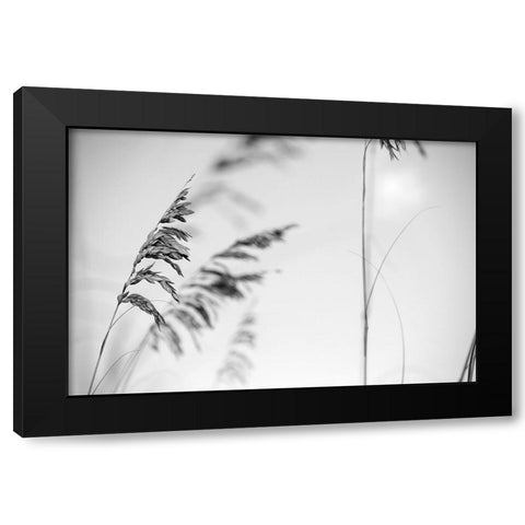 Elegant Vines II  Black Modern Wood Framed Art Print with Double Matting by Connolly, Karin