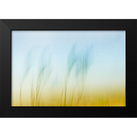 Sunset Air  Black Modern Wood Framed Art Print by Connolly, Karin