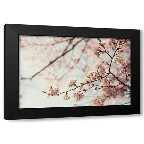One Fine Day Black Modern Wood Framed Art Print with Double Matting by McDonald, Catherine