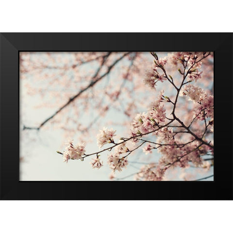 One Fine Day Black Modern Wood Framed Art Print by McDonald, Catherine