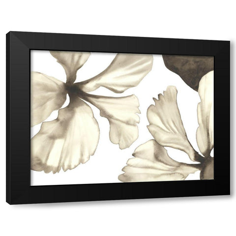 Hibiscus II Black Modern Wood Framed Art Print by Hendrick, Cathy