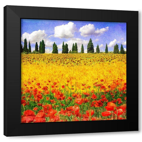 Lombardy I Black Modern Wood Framed Art Print by Vest, Chris