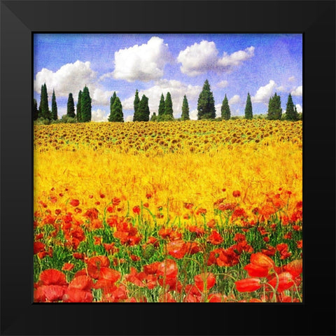 Lombardy I Black Modern Wood Framed Art Print by Vest, Chris