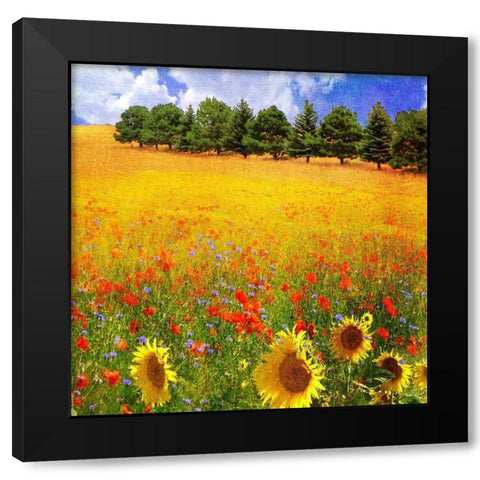 Lombardy II Black Modern Wood Framed Art Print with Double Matting by Vest, Chris