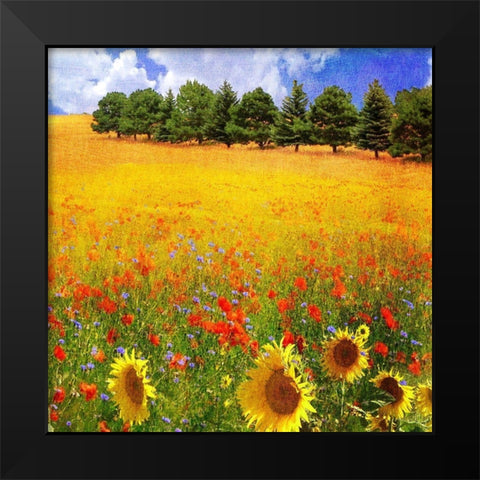 Lombardy II Black Modern Wood Framed Art Print by Vest, Chris