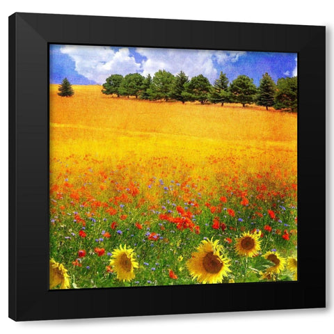 Lombardy III Black Modern Wood Framed Art Print with Double Matting by Vest, Chris