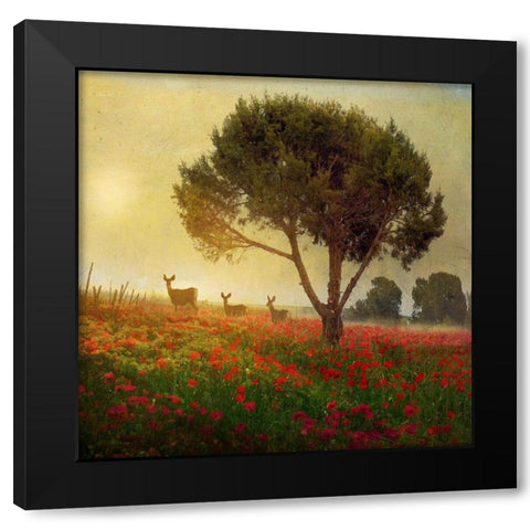Trees Poppies Deer II Black Modern Wood Framed Art Print with Double Matting by Best, Chris