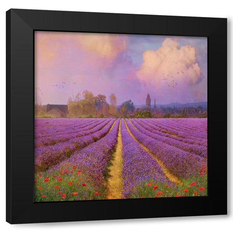 Lavender Fields I Black Modern Wood Framed Art Print by Vest, Chris
