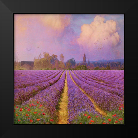 Lavender Fields I Black Modern Wood Framed Art Print by Vest, Chris