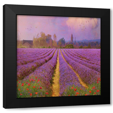Lavender Fields II Black Modern Wood Framed Art Print by Vest, Chris