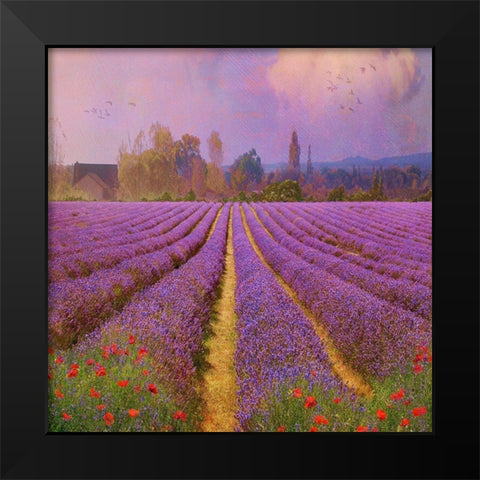 Lavender Fields II Black Modern Wood Framed Art Print by Vest, Chris